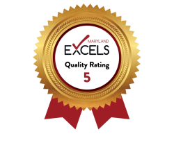EXCELS 5 Badge high res